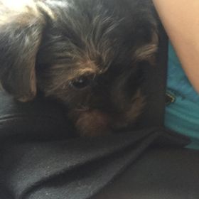 Profile Picture of Krystal Dowden (@kdowden) on Pinterest