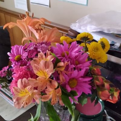 Profile Picture of Theresa Mcdonald (@Theresa59536029) on Twitter