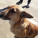 Profile Picture of Peter (@peter_karloss) on Instagram