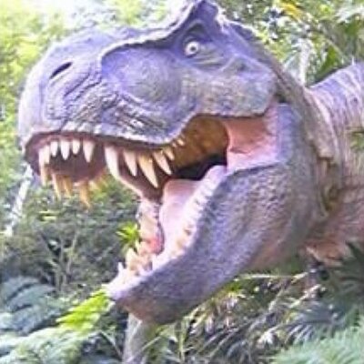 Profile Picture of David (@daviddudney) on Twitter