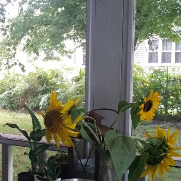 Profile Picture of Tammy Mellor (@tammymellor) on Poshmark