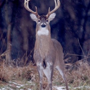 Profile Picture of Joseph Joerger (@joseph.joerger) on Myspace