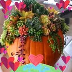 Profile Picture of Candi Faulk (@Candi-Faulk) on Facebook