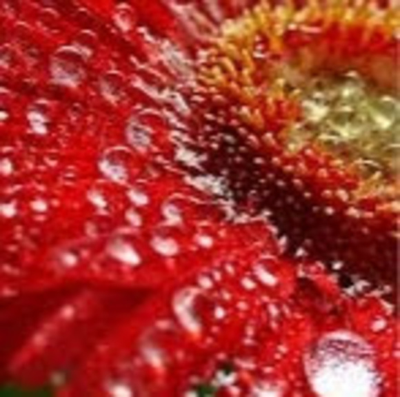 Profile Picture of Heather Lahay (@heathlaha09) on Poshmark