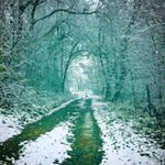 Profile Picture of brandon daugherty (@brandon_daugherty1) on Instagram