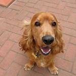 Profile Picture of Darryl Munn (@darrylmunn) on Instagram