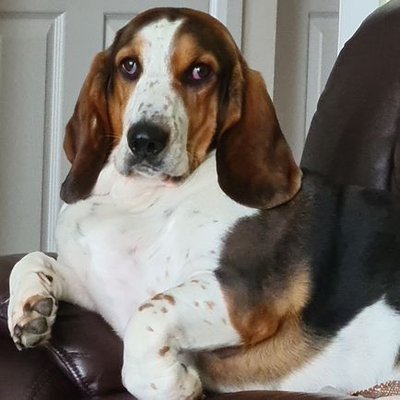 Profile Picture of Adam Palmer (@adampalmer73) on Twitter