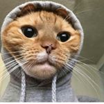 Profile Picture of David Navarro Sereno (@unvazoawa) on Instagram