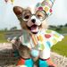 Profile Picture of Gracie Paul (@gatorchick99) on Pinterest