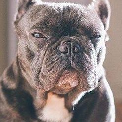 Profile Picture of Alessandro Scala (@Alessandro-Scala) on Facebook