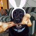 Profile Picture of Paul Blomquist (@paul.bloomquist.12) on Facebook