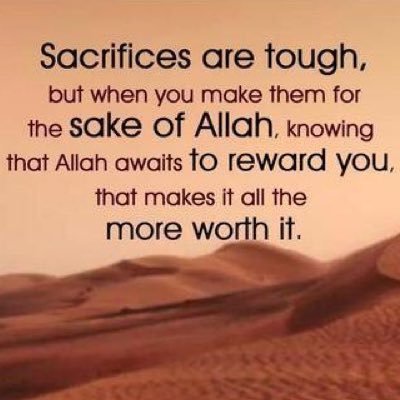 Profile Picture of Renee Mavros (@ReneeAalexandra) on Twitter