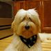 Profile Picture of Floyd Power (@floyd.power.54) on Facebook