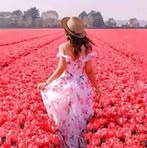 Profile Picture of Dianna Singh (@dianne.singh.108) on Facebook