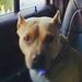 Profile Picture of Timothy Putt (@timothyputt14) on Pinterest
