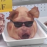 Profile Picture of Andrew Diemer (@1800violence) on Instagram