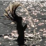 Profile Picture of Anna Brockhoff (@brockhoffanna) on Instagram