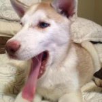 Profile Picture of Scott Guillory (@scottguillory) on Instagram
