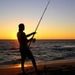 Profile Picture of regino cordova (@reginocordova) on Pinterest