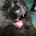 Profile Picture of Jared Atchison (@jared.atchison.5) on Facebook