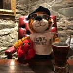 Profile Picture of Tim & Guido Costa (@twoclawsfourpaws) on Instagram