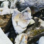 Profile Picture of melissa clampitt (@happy2bnak) on Instagram