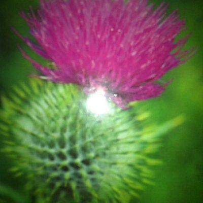 Profile Picture of John Garvie Jr (@jgarviejr) on Twitter