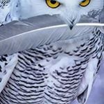 Profile Picture of John Mackey (@john.mackey.52) on Instagram