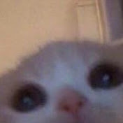 Profile Picture of Jason Mashburn (@jasonmashburn3540) on Youtube