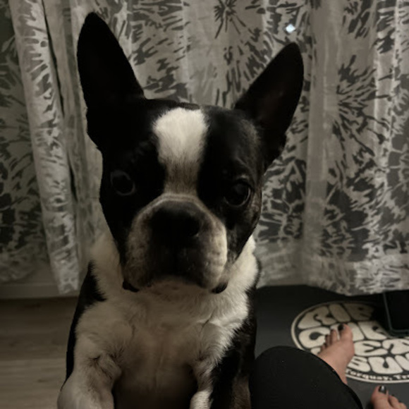 Profile Picture of Maggie Carothers (@mjcxca) on Poshmark