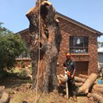 Profile Picture of Jason Mcarthur (@gid_tree_services) on Instagram