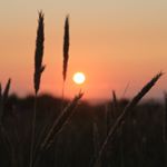 A Composition Compilation - Instagram Profile Picture of A Composition Compilation (@blairelliott) on Instagram