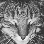 zoë Becker - Instagram Profile Picture of zoë Becker (@beckerzoe16) on Instagram