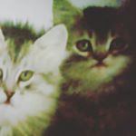 Profile Picture of skyechapman (@skyechapman06) on Instagram