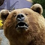 Profile Picture of Stuart Fliegelman (@stuartfliegelman) on Instagram