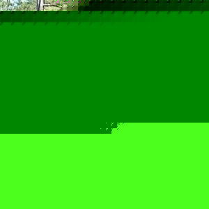 Profile Picture of Bj Lowe (@felizdik) on Myspace