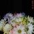 Profile Picture of Paula Steffes (@mpjstef) on Pinterest