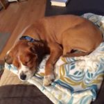 Profile Picture of Vicky Roberts (@vicky_roberts62) on Instagram