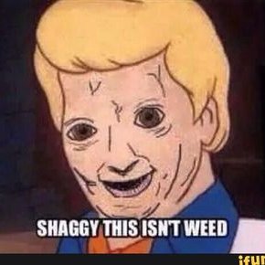 Profile Picture of Dillon Lamb (@pfdislife) on Twitter