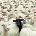 Profile Picture of Brett Stevens (@b_stevens91) on Instagram