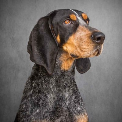 Profile Picture of Chase Haney (@ChaseHaney14) on Twitter
