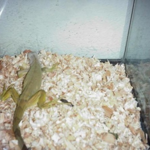 Profile Picture of Amabelle Dela Cruz (@245019630) on Myspace