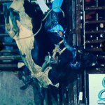 Hayden Hilliard - Instagram Profile Picture of Hayden Hilliard (@hayden_hilliard) on Instagram