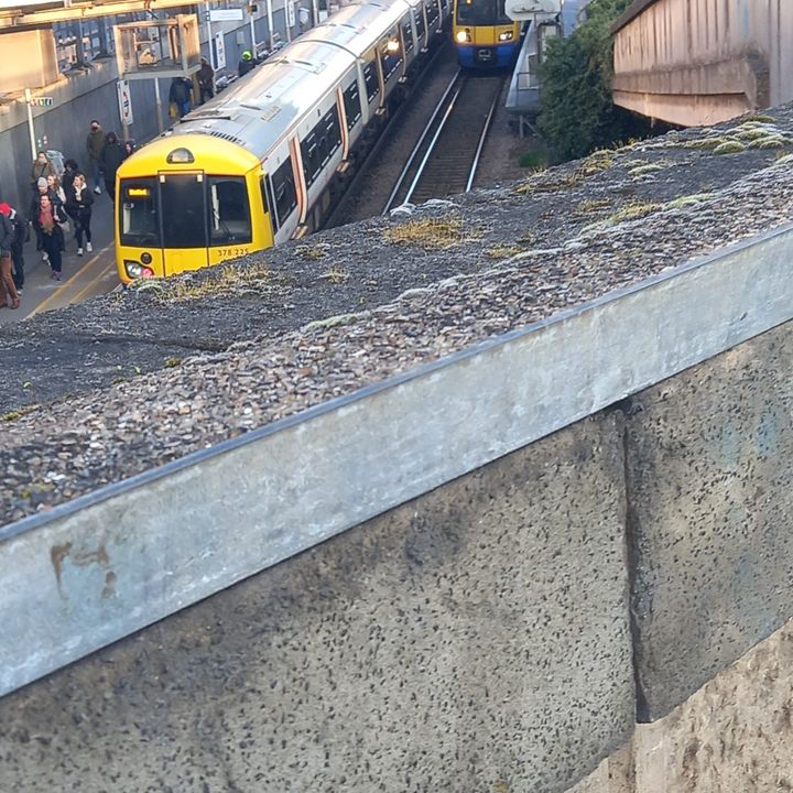 Profile Picture of Darren (@darrenbusntrainspotting) on Tiktok