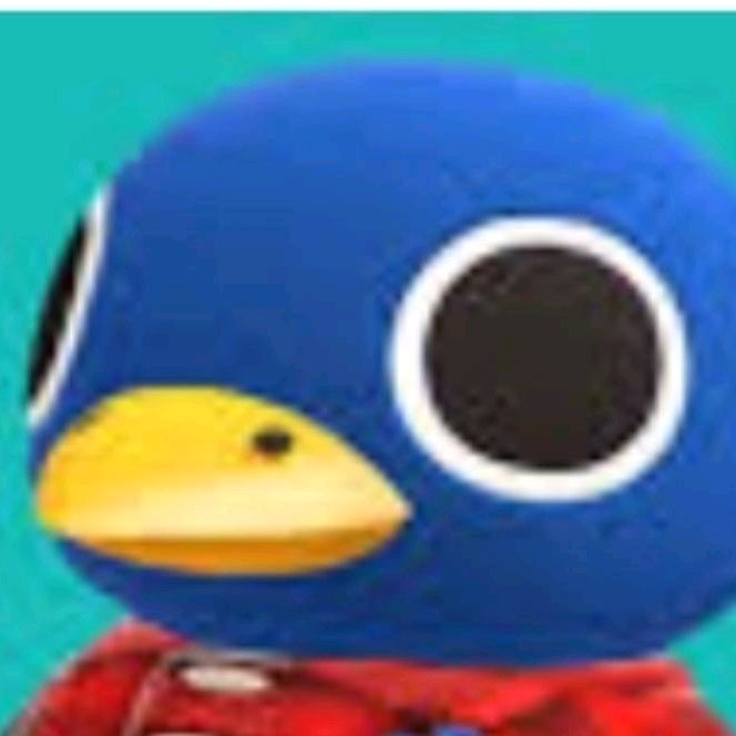 Profile Picture of Sheldon Animal cross (@ceo_of_animal_crossing) on Tiktok