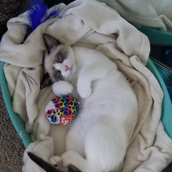 Profile Picture of Tori Grant (@torig52) on Poshmark