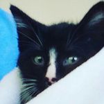 Profile Picture of haÿ_11 (@haley_learn) on Instagram