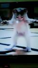 Profile Picture of   ههههههههههههههههههههههه😂😂... (@s.qc) on Tiktok