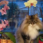 Profile Picture of Sharon Mathison Suess (@sharonmathisonsuess) on Instagram