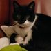 Profile Picture of Jo Bowyer (@jo.bowyer.12) on Facebook
